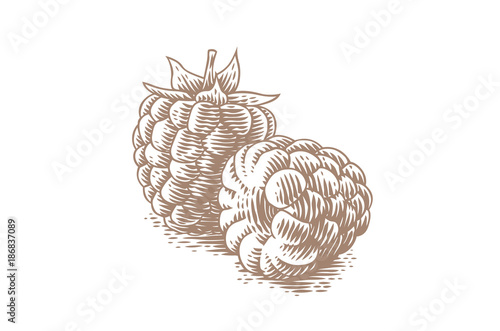 Two fresh raspberries