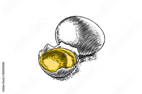 Whole egg and yolk in the eggshell