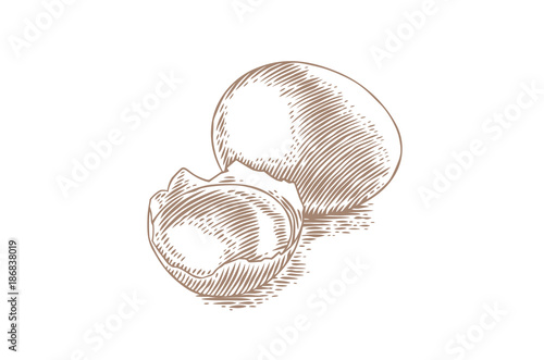 Whole egg and yolk in the eggshell