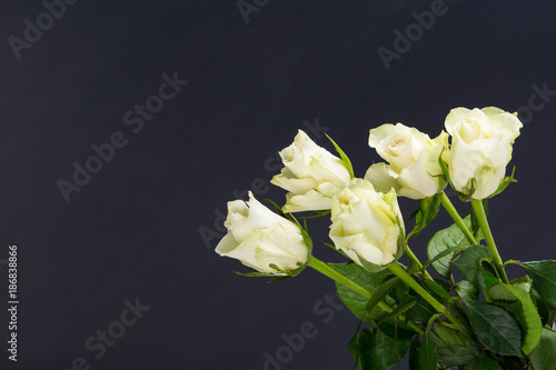 bouquet of white fresh roses on a black background