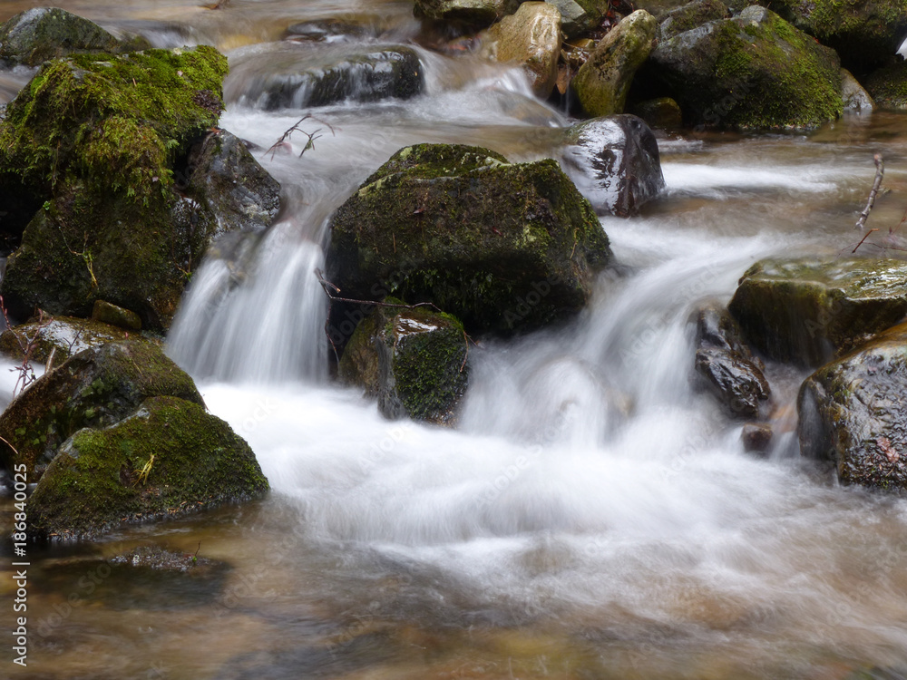 Fototapeta premium Fliesendes Wasser