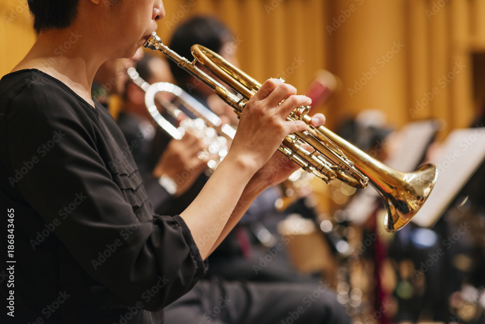 Obraz premium オーケストライメージ