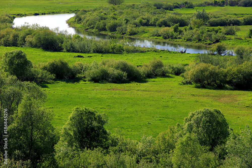Panoramic view of the grassy meadows and wetlands - wildlife and birds reserve - and the Biebrza river in the Biebrzanski National Park in Poland Panoramic view of the grassy meadows and wetlands - wildlife and birds reserve - and the Biebrza river in the Biebrzanski National Park in Poland