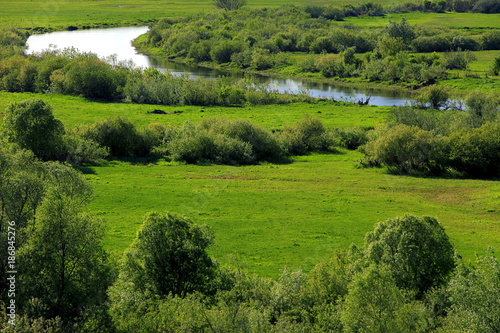 Panoramic view of the grassy meadows and wetlands - wildlife and birds reserve - and the Biebrza river in the Biebrzanski National Park in Poland