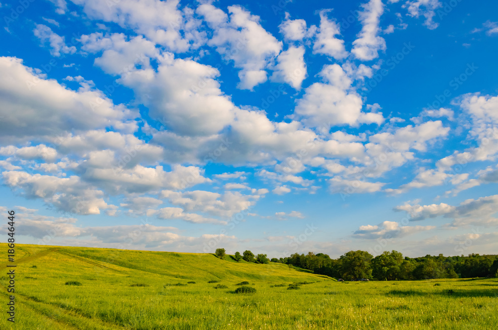 Obraz premium hill meadow sky