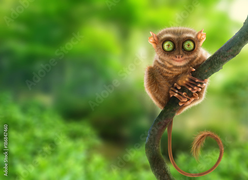 Naklejka Tarsier małpa (Tarsius Syrichta) w naturalnym środowisku dżungli, Filipiny. Sztuka cyfrowa.