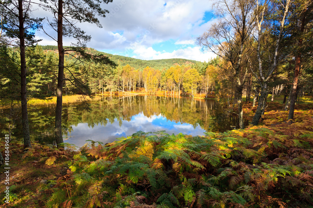Cambus o'May Lochan, Deeside, Scotland Cambus o'May Lochan, Deeside, Scotland