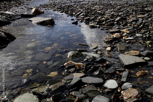 Cornwall, low tide, stream