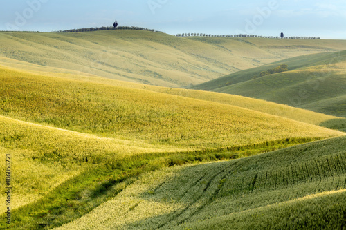 Green hills of Tuscany © Anneke