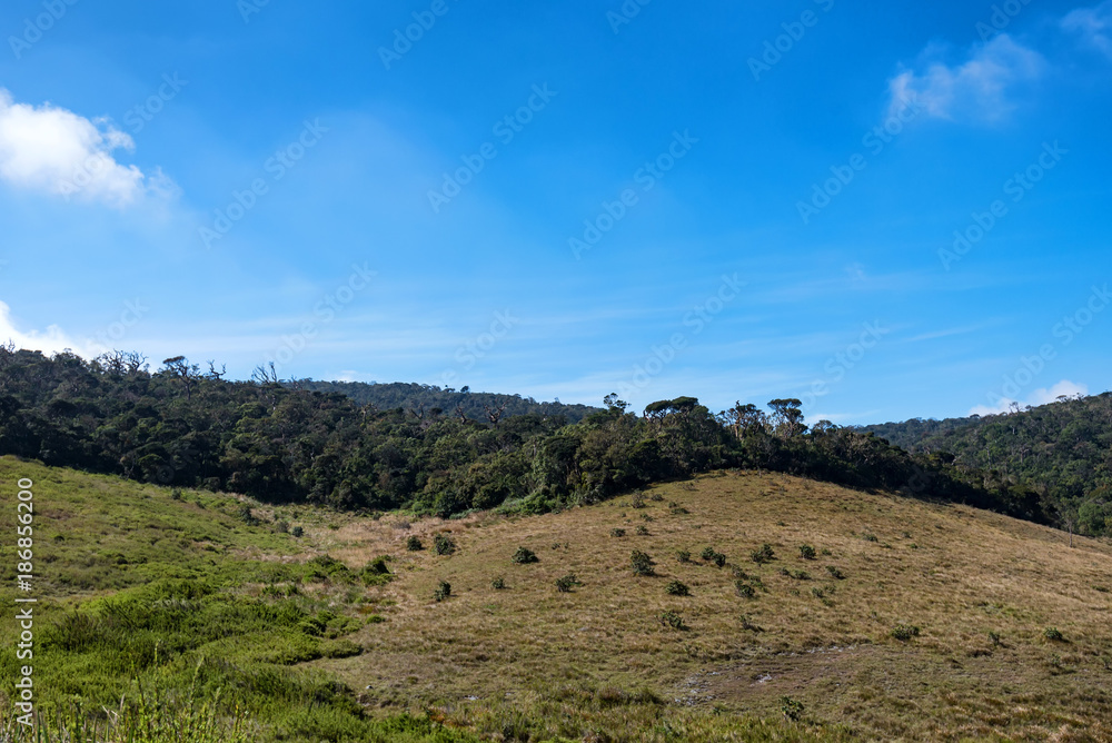 Scenic view in Horton Plains, Sri Lanka