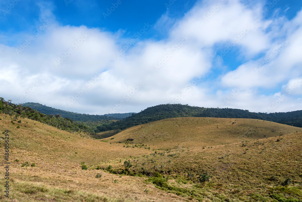 Obraz premium Scenic view in Horton Plains, Sri Lanka
