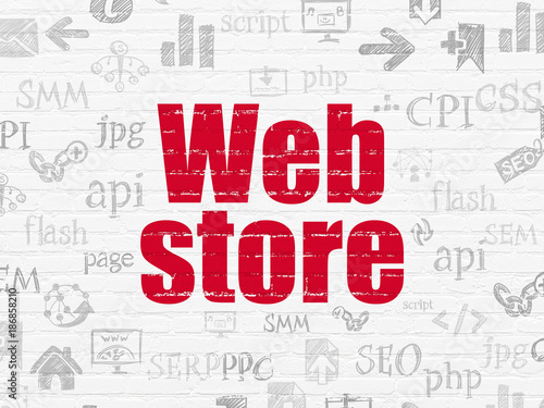 Web design concept: Painted red text Web Store on White Brick wall background with Hand Drawn Site Development Icons