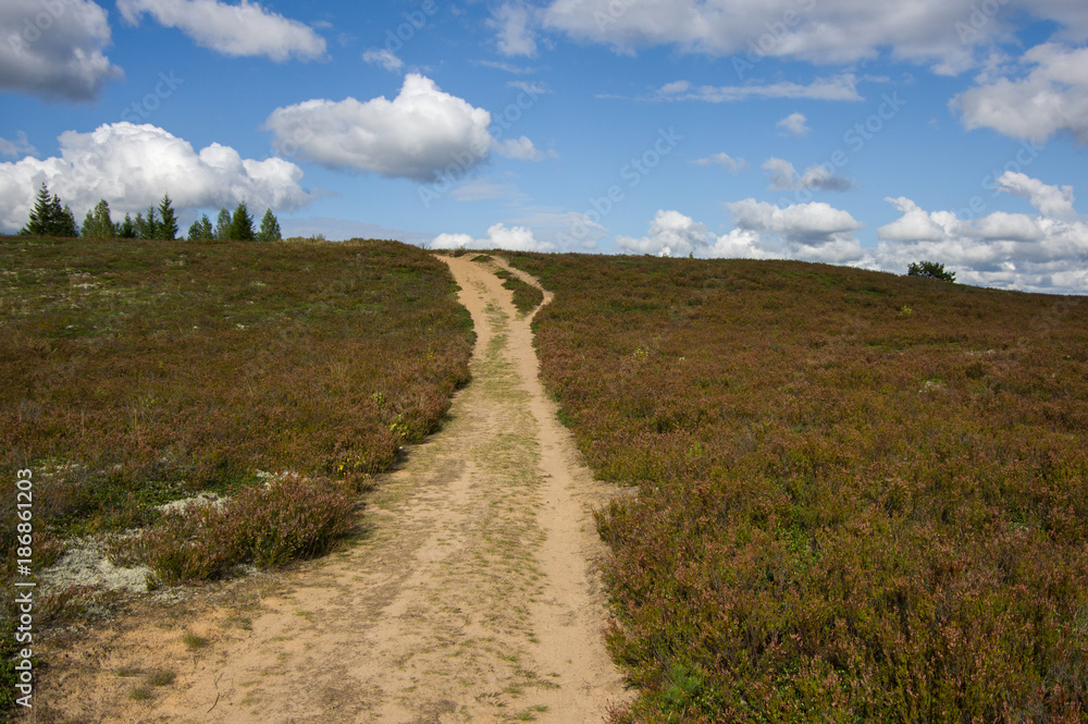 Sandy road on a hill, covered with heather, against the sky Sandy road on a hill, covered with heather, against the sky