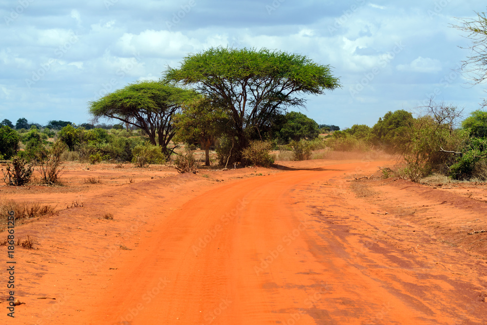 Discovering the African Savannah
