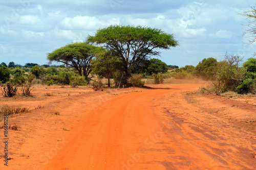 Discovering the African Savannah