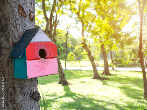 Colorful Bird Houses in the park Hanging on a tree, The bird house was placed at various points.birdhouse forest with many brightly colored bird houses built to attract