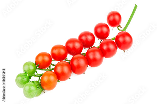 ripe cherry tomato twig