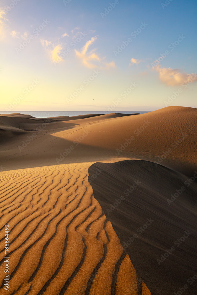 Horizontal landscape of dunes in Gran Canaria island, Maspalomas.