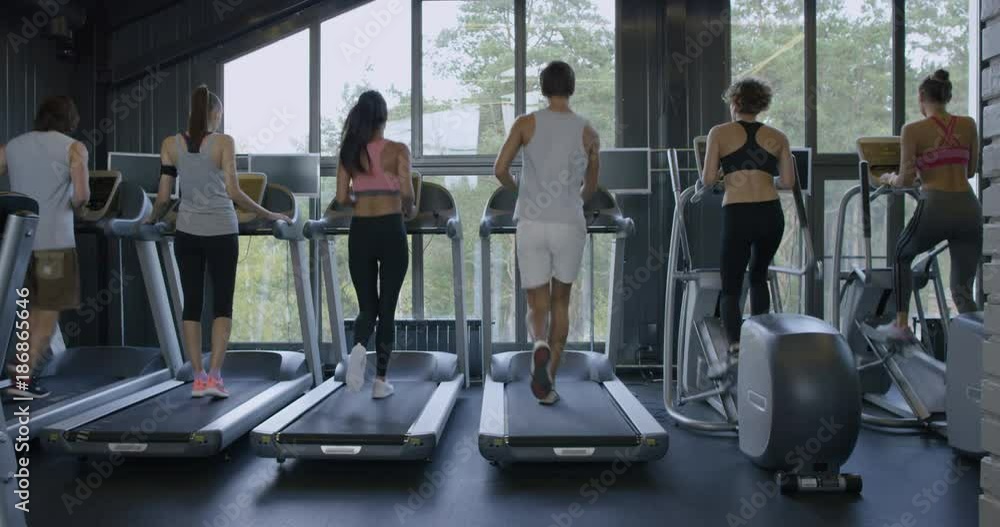 Training in a Gym/The girl joins the training on the treadmill Training in a Gym/The girl joins the training on the treadmill