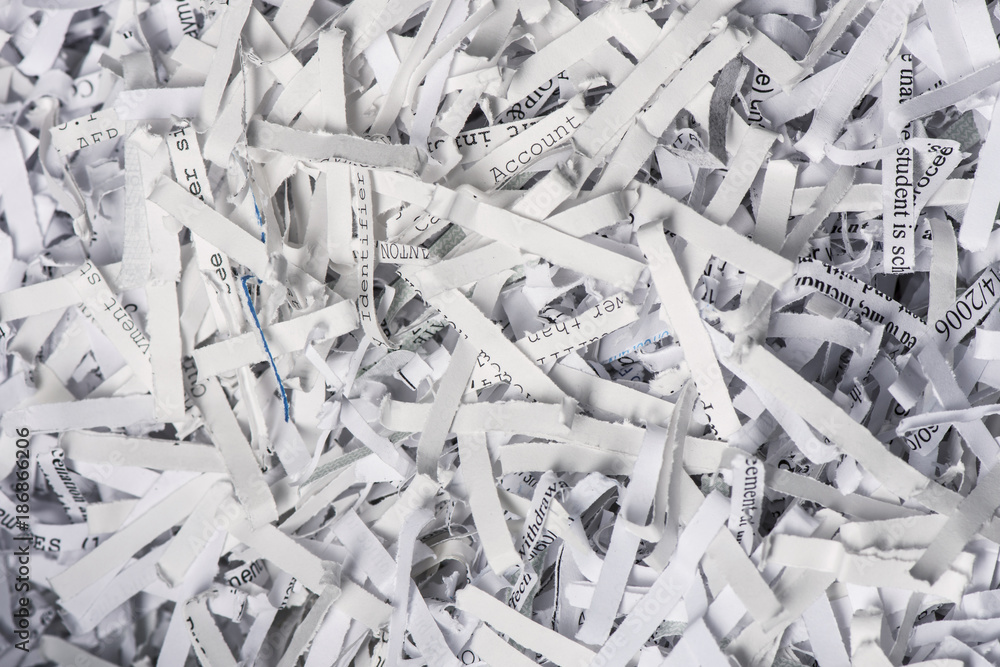 Fotografia Shredded Paper Closeup