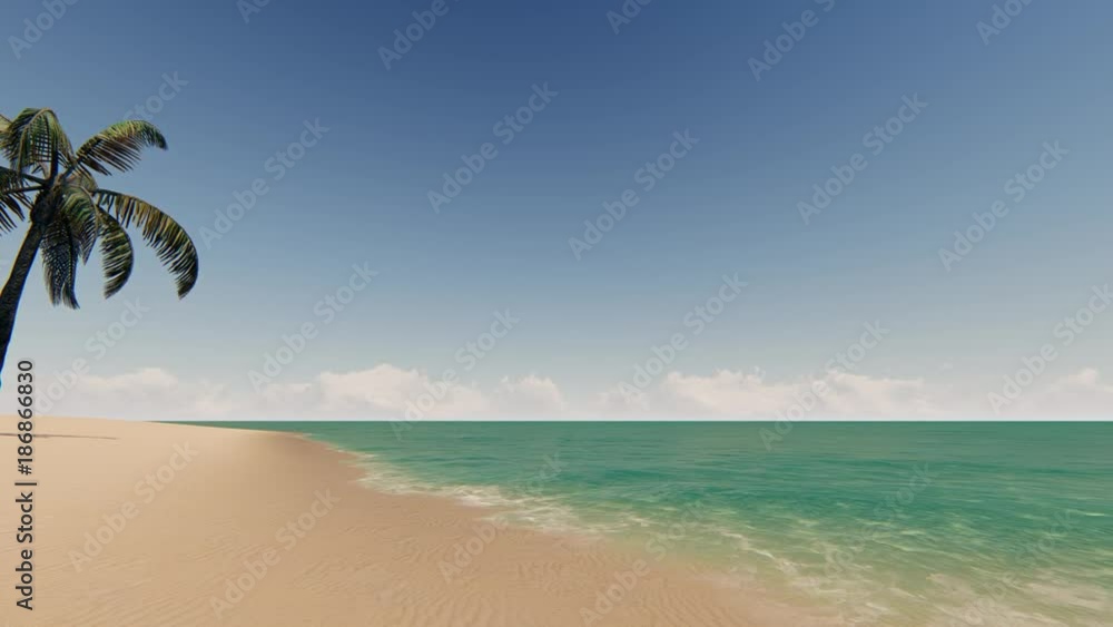 Sandy beach with palm tree and blue sky Sandy beach with palm tree and blue sky
