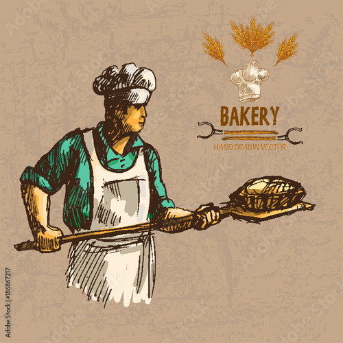 Digital color vector detailed line art baker