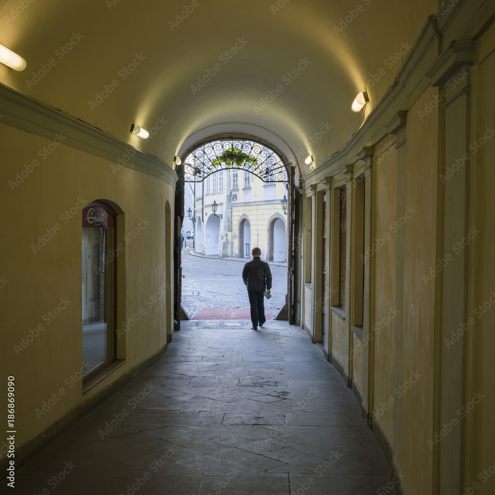 Rear view of man walking out of the house gate, Prague, Czech Republic