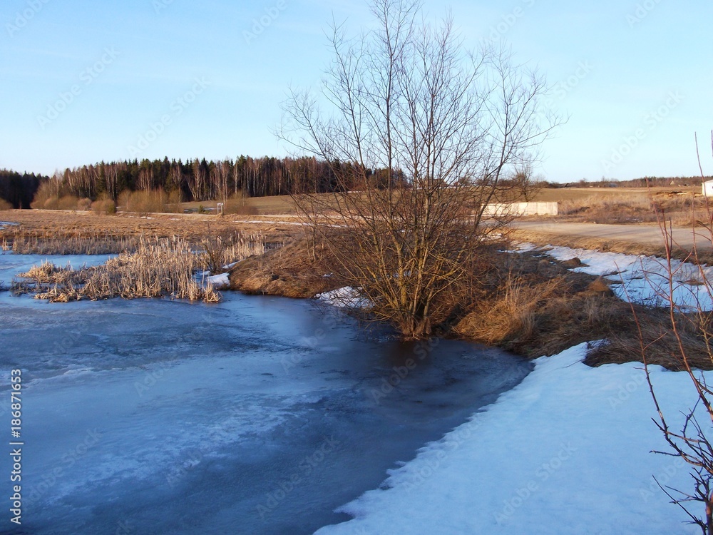 Fototapeta premium Landscape of a small lake with old snow in a forest in the early spring