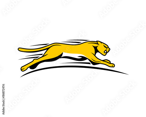 leopard cheetah tiger jaguar beast animal image vector speed fast