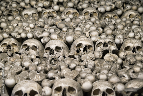 Skulls and bones photo