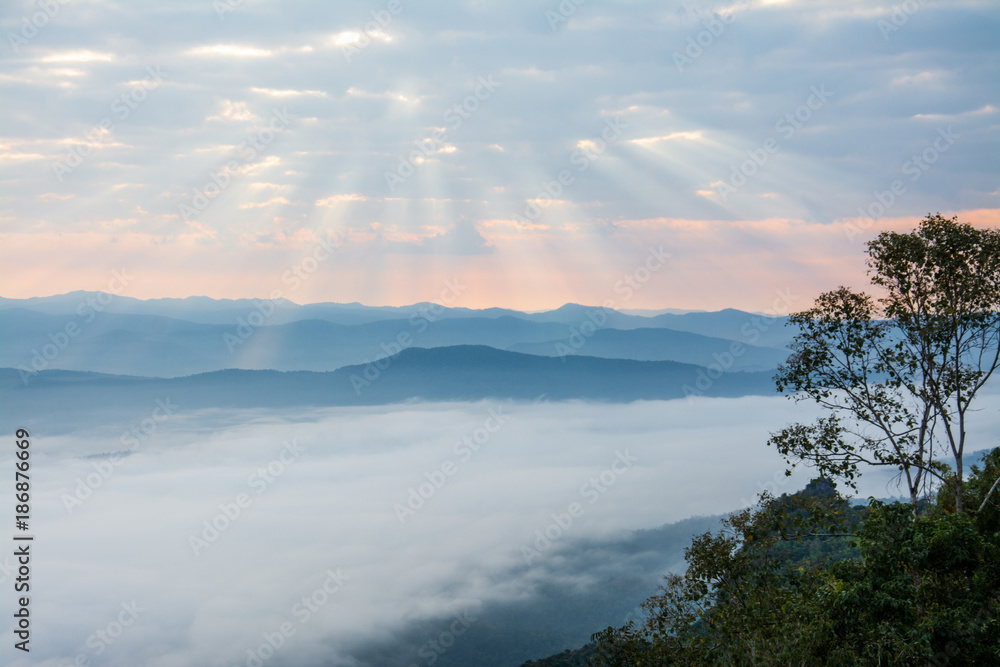 sunrise twilight and sea fog of Doi Samer Dao  in Sri Nan National Park ,  Nan Province of Thailand