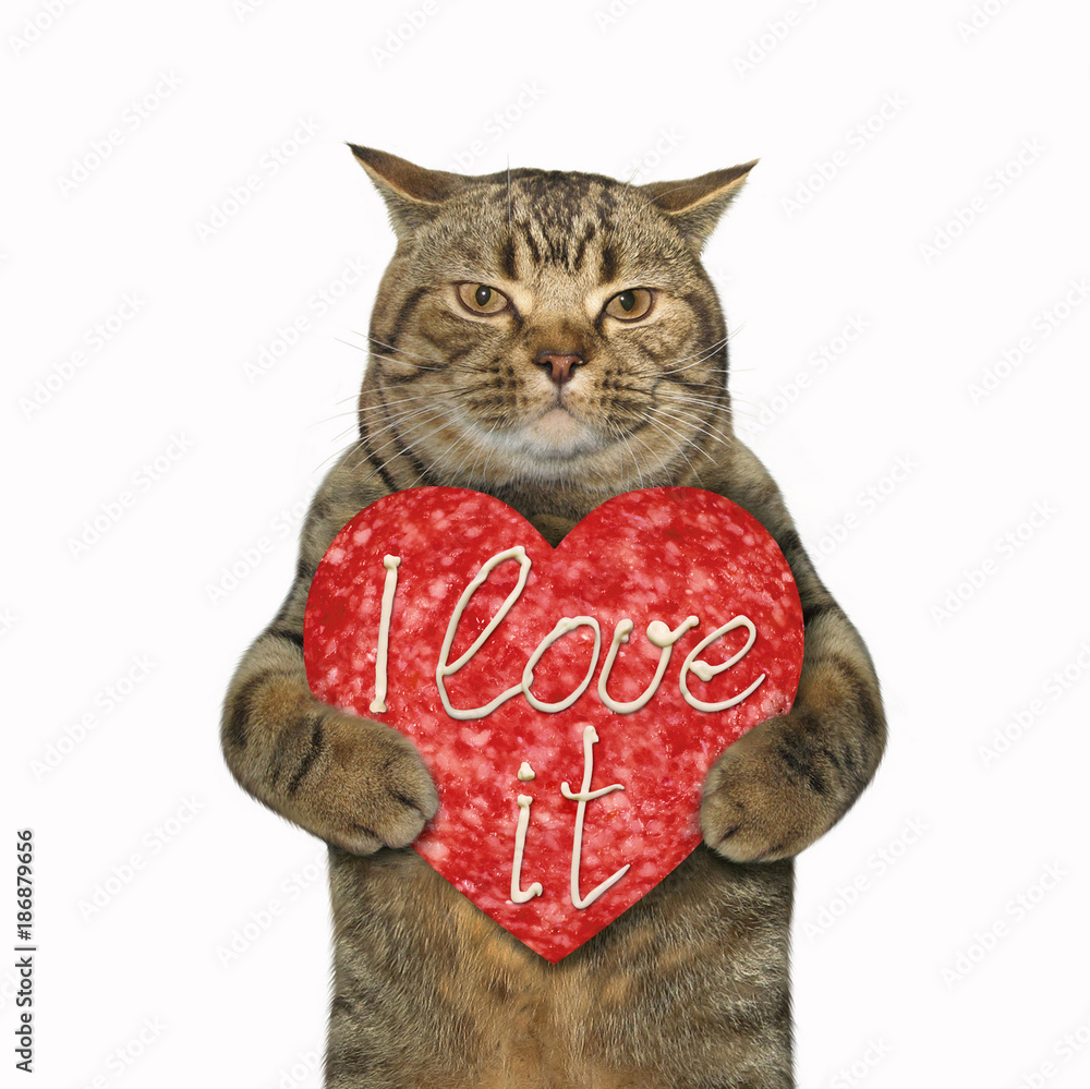 The cat  holds a big sausage heart. White background.