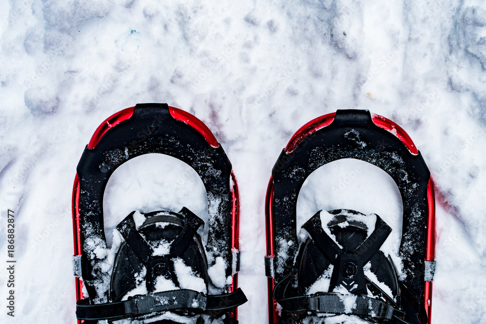 Snowshoeing in Glacier National Park Stock Photo Adobe Stock