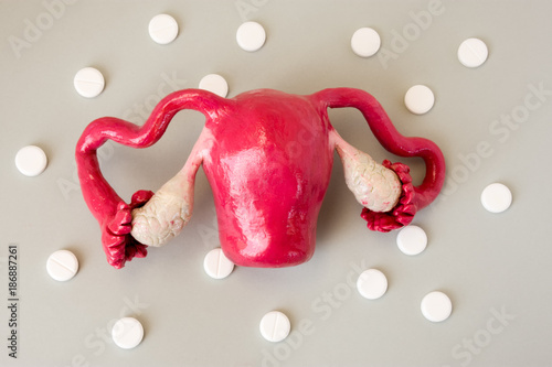 Model of uterus with appendages - fallopian tubes and ovaries is surrounded by white pills or drugs on gray background closeup. Photo treatment uterus disease, medical abortion, hormonal stimulation photo