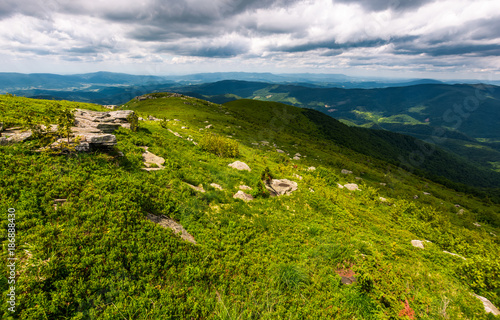 grassy meadow with rocky formations in mountains. lovely summer landscape. location Runa mountain, Carpathians, Ukraine photo