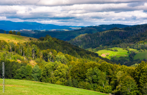 forested rolling hill on a cloudy day. lovely nature scenery of mountainous countryside. gorgeous weather early in the autumn