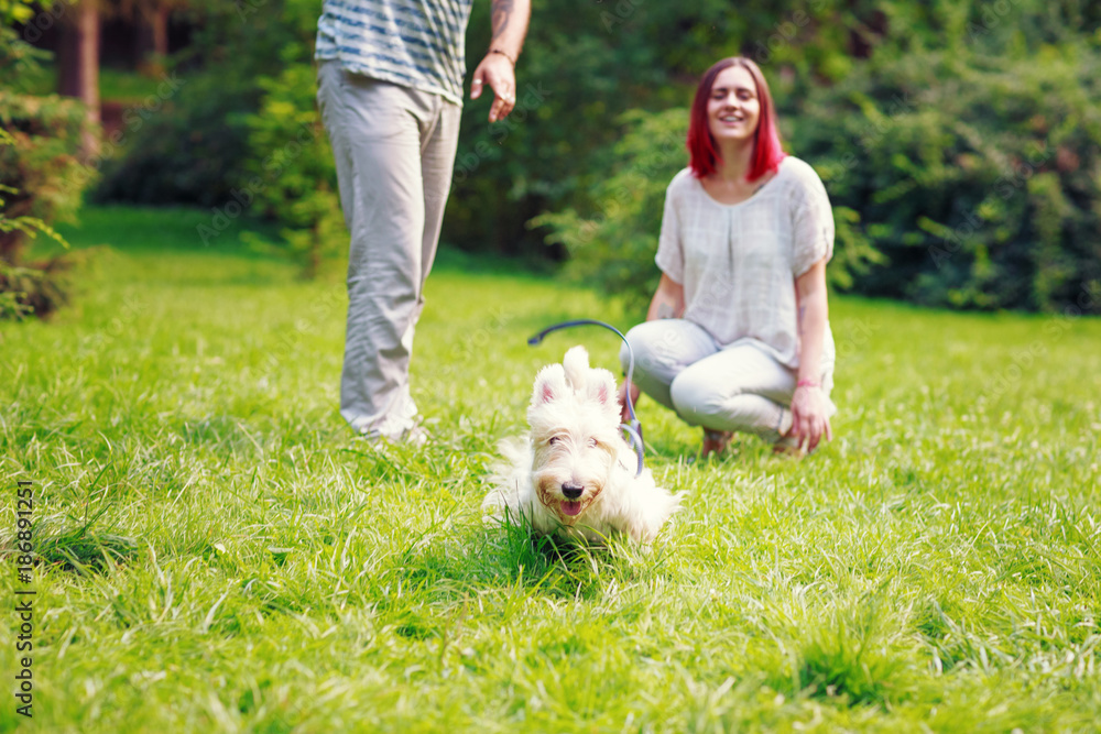 Dog running. Couple on a background Dog running. Couple on a background