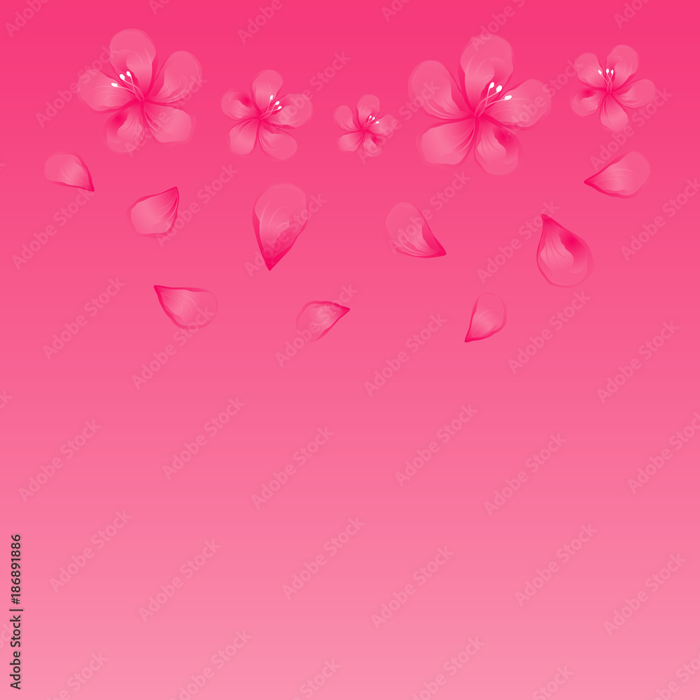 Pink flowers and flying petals isolated on bright Pink background. Apple-tree flowers. Cherry blossom. Vector