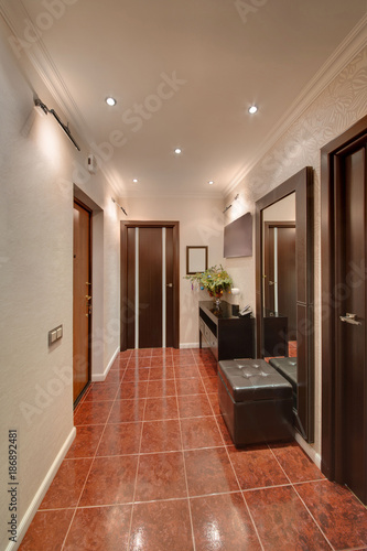 A corridor with a dark brown floor, light walls and dark doors © maleficenta