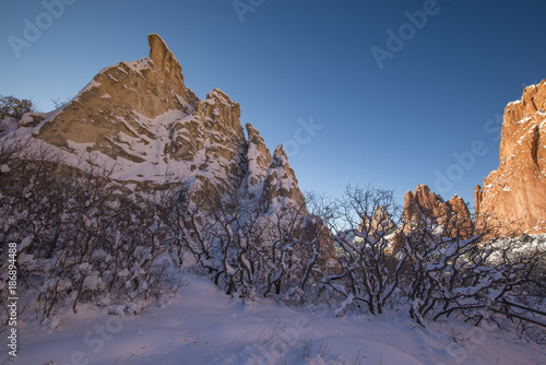 Winter Rocks and Foliage