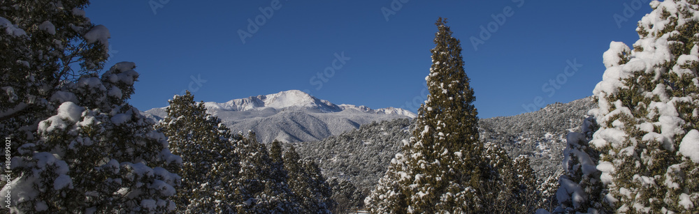 Pikes Peak Forest and Snow