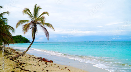 Fototapeta Naklejka Na Ścianę i Meble -  Paradise Tropical Beach Palm The Caribbean Sea