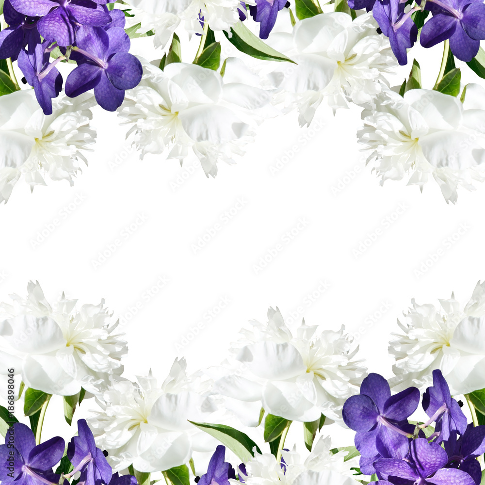 Beautiful floral background of orchid Vanda and white peonies  