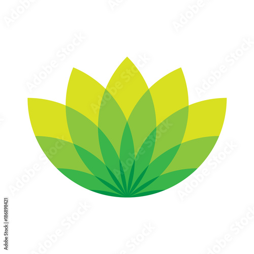 Green lotus icon - wellness beauty and spa theme. Simple flat green vector illustration on white background.