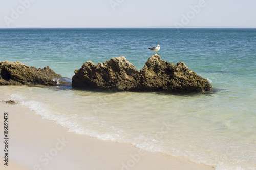 Playa portugal galapinhos photo