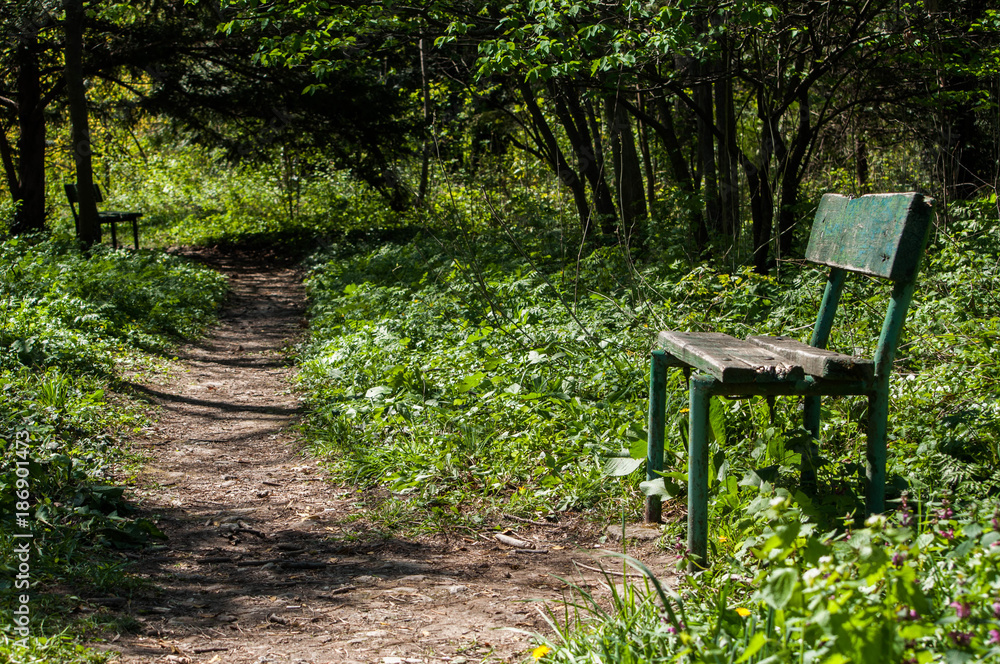 Bench on a lonely green alley Bench on a lonely green alley