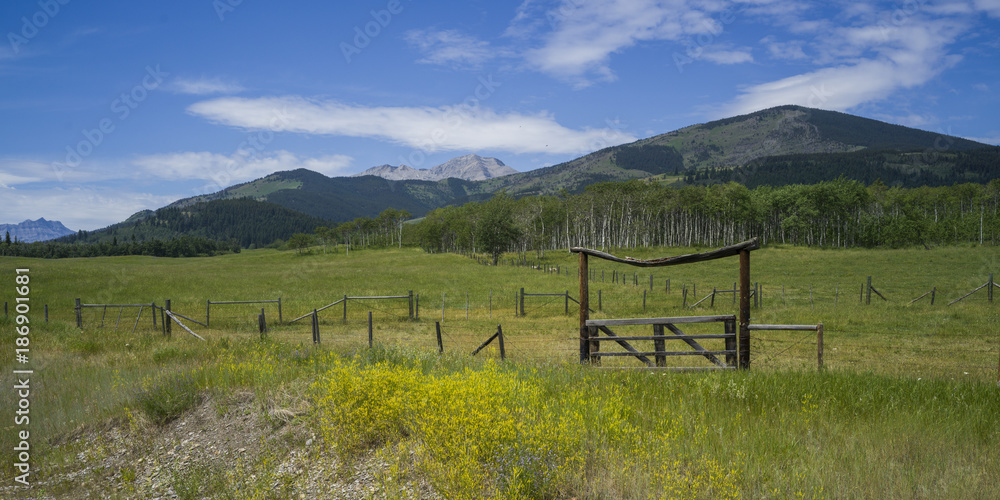 Ranch gate, Cowboy Trail, Eden Valley, Southern Alberta, Alberta, Canada