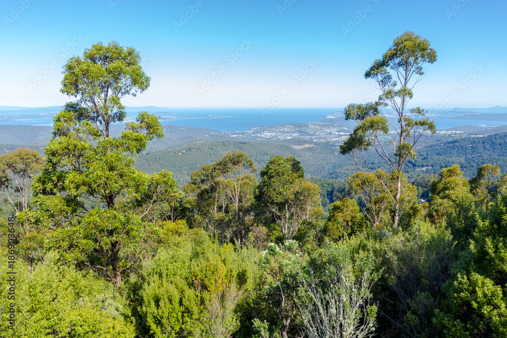 view of lowlands through mountain forest, mount wellington, Tasmania view of lowlands through mountain forest, mount wellington, Tasmania