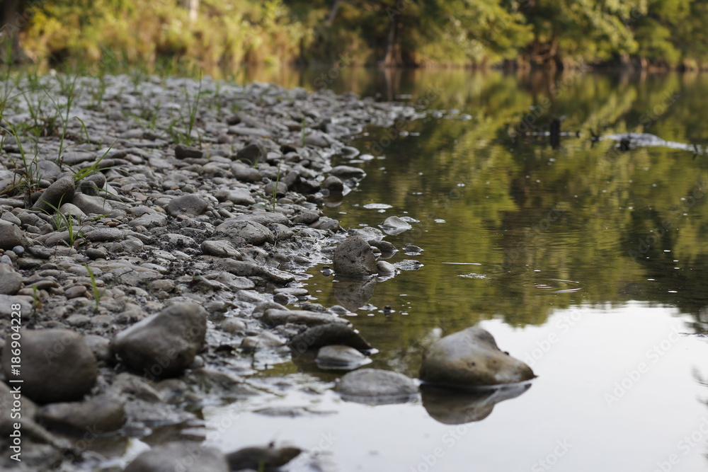 Obraz premium The River