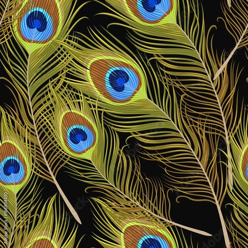 Seamless peacock feathers